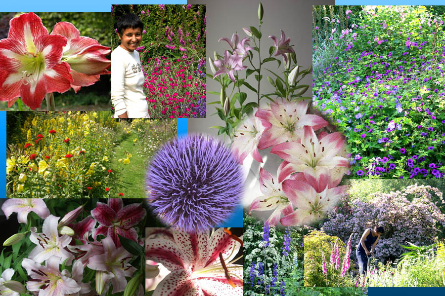 Krishna's flower collection