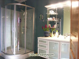 deluxe bathroom